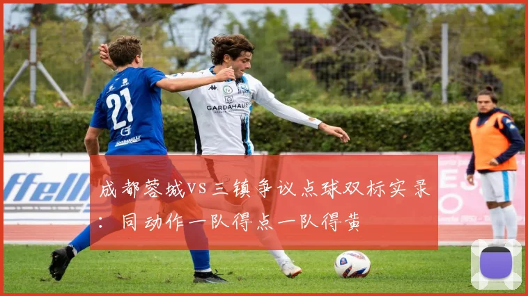 成都蓉城vs三镇争议点球双标实录：同动作一队得点一队得黄
