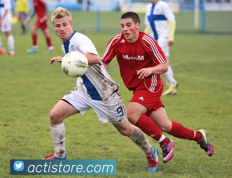 登录器